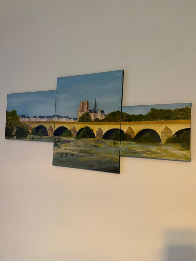 Cosy Loire, T2 Neuf, Front De Loire ,Vue Cathedrale,5Min A Pied Centre Ville Et Parking Prive ออร์เลออง ภายนอก รูปภาพ